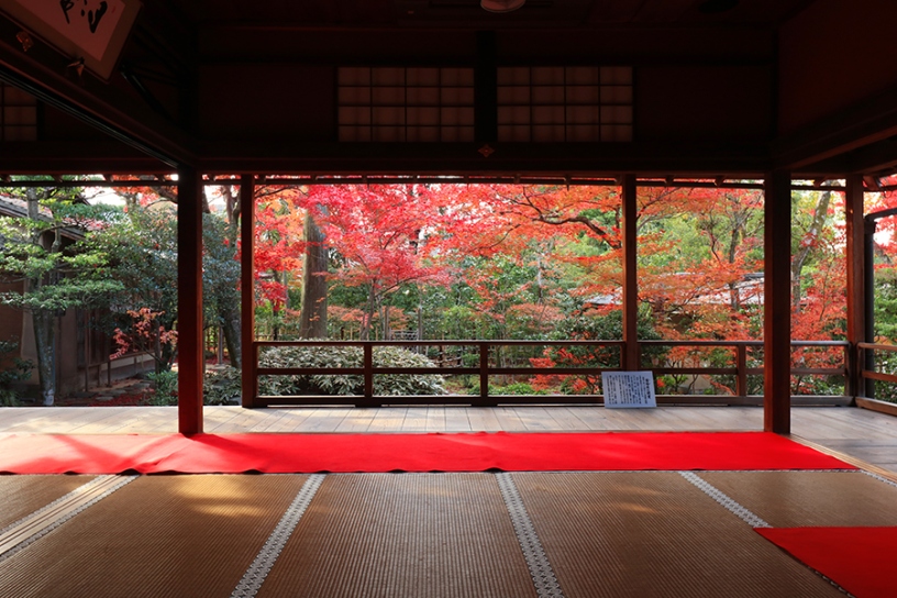 撮影日:2022年11月28日