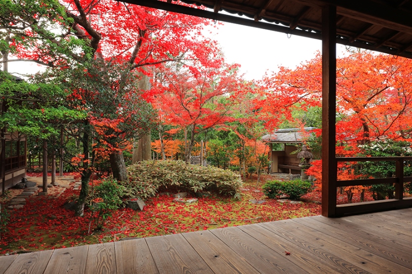 撮影日:2025年12月3日