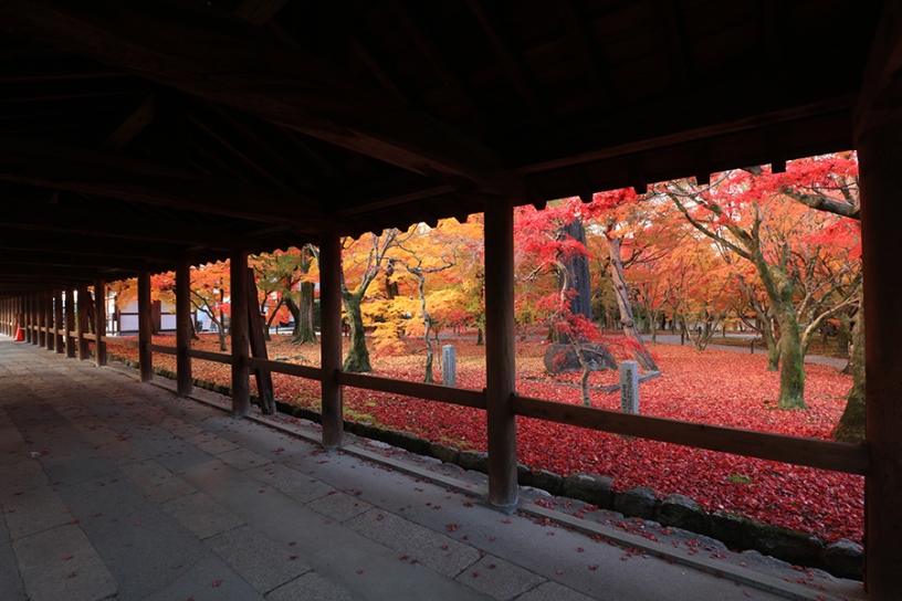 撮影日:2024年12月5日