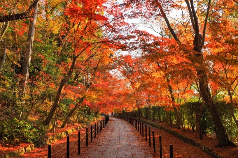 撮影日:2020年12月5日