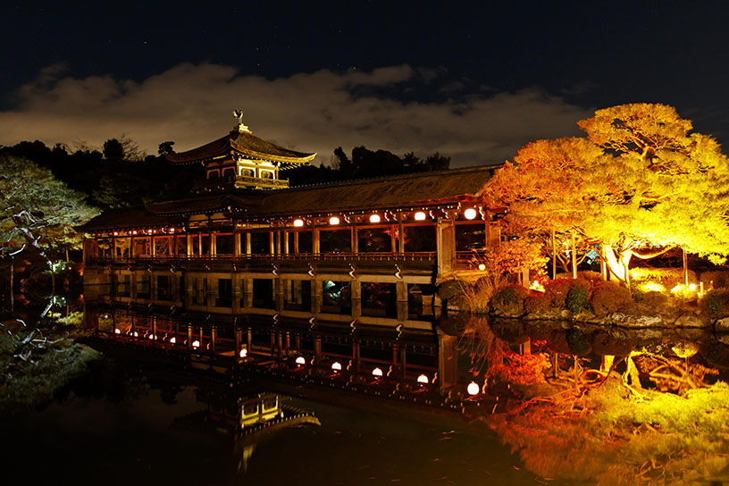 東神苑・泰平閣ライトアップ