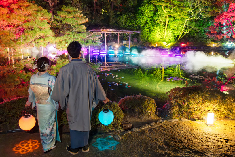 中神苑・臥龍橋ライトアップ