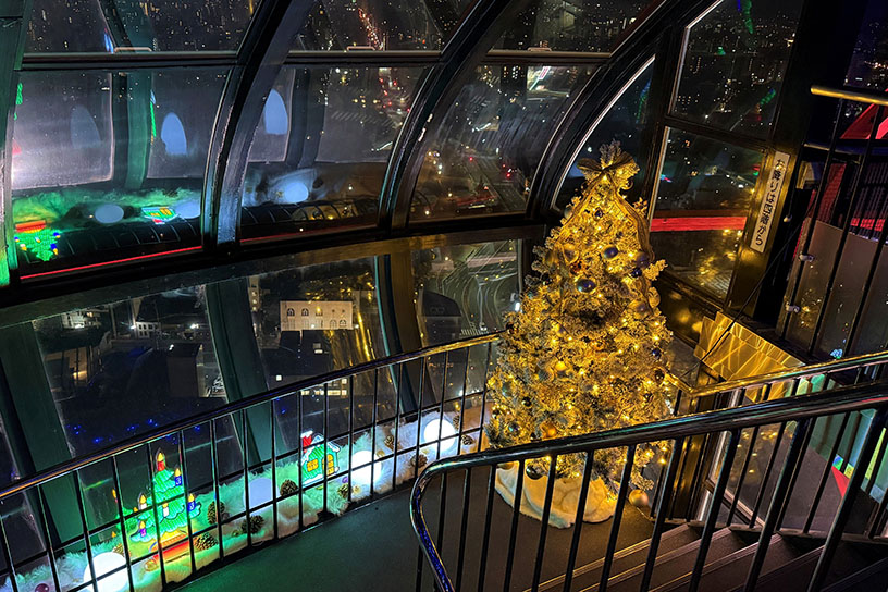 ツリーと一緒に夜景を楽しめます