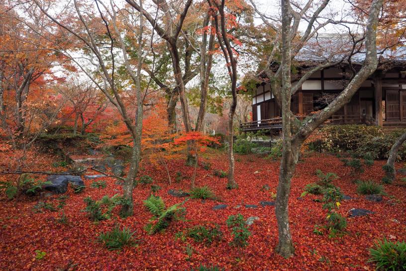 宝筺院（撮影日：2025年12月4日）