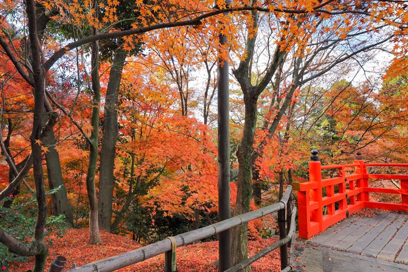 舞台（撮影日：2025年12月4日）