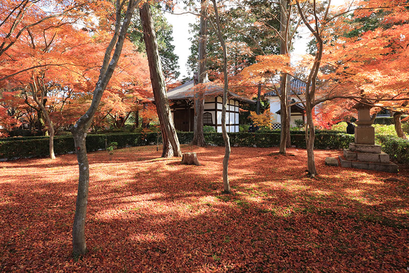 真如堂（撮影日：2025年12月4日）
