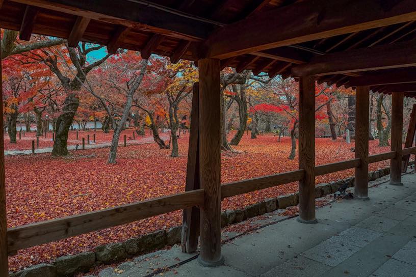 東福寺（撮影日：2025年12月4日）