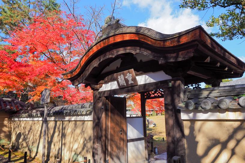 高台寺 中門（撮影日：2025年12月5日）