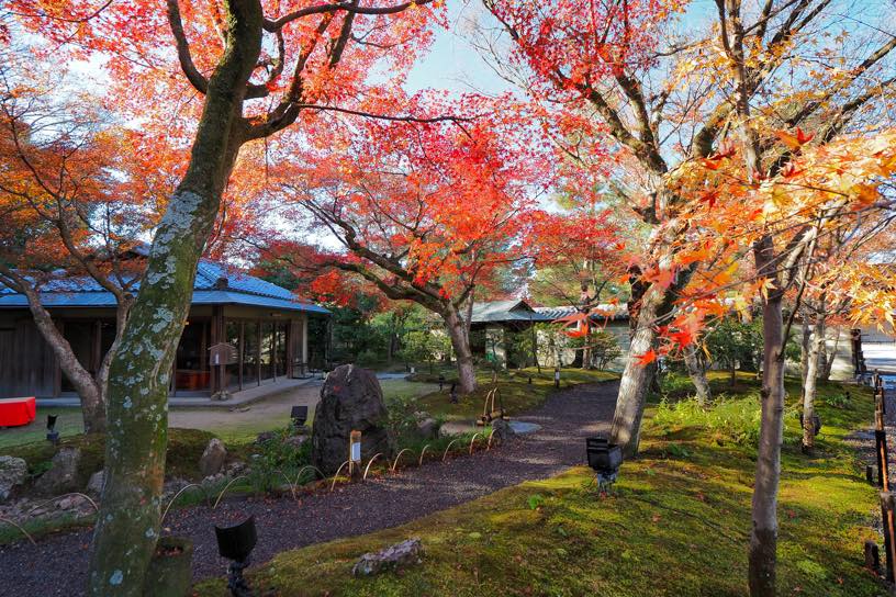 高台寺 雲居庵（撮影日：2025年12月5日）