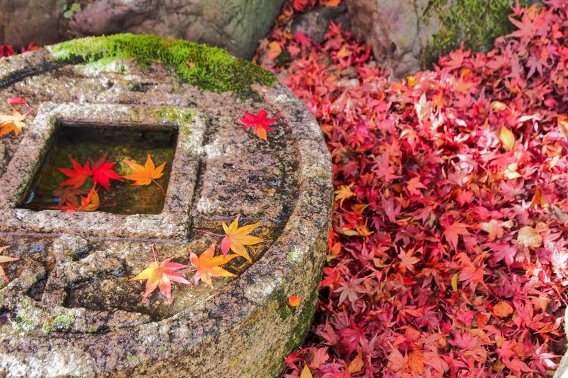 金福寺（撮影日：2025年12月5日）