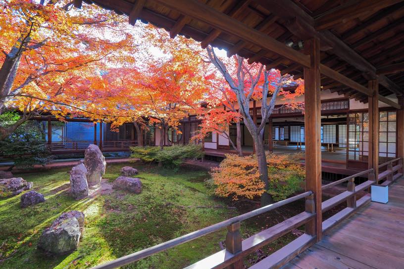 建仁寺（撮影日：2025年12月5日）