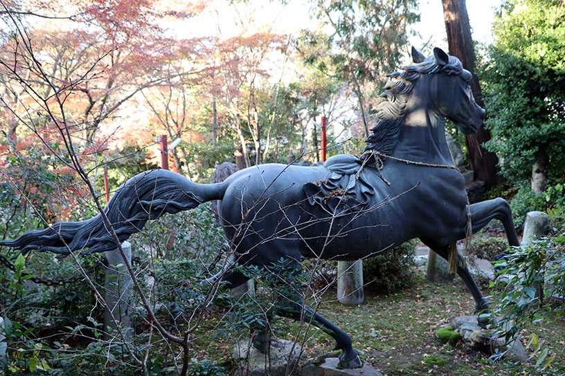 どこから見てもかっこいい！