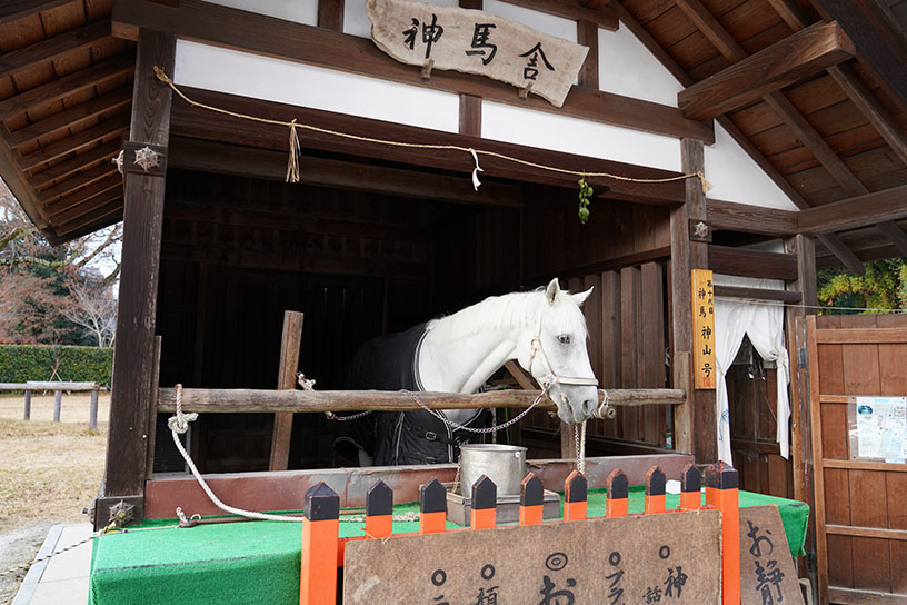 日曜日・祝日、祭典の日に神事「神山号」が出社します
