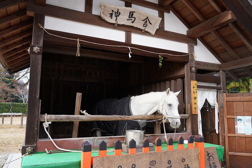 二の鳥居前にある神馬舎に出社します