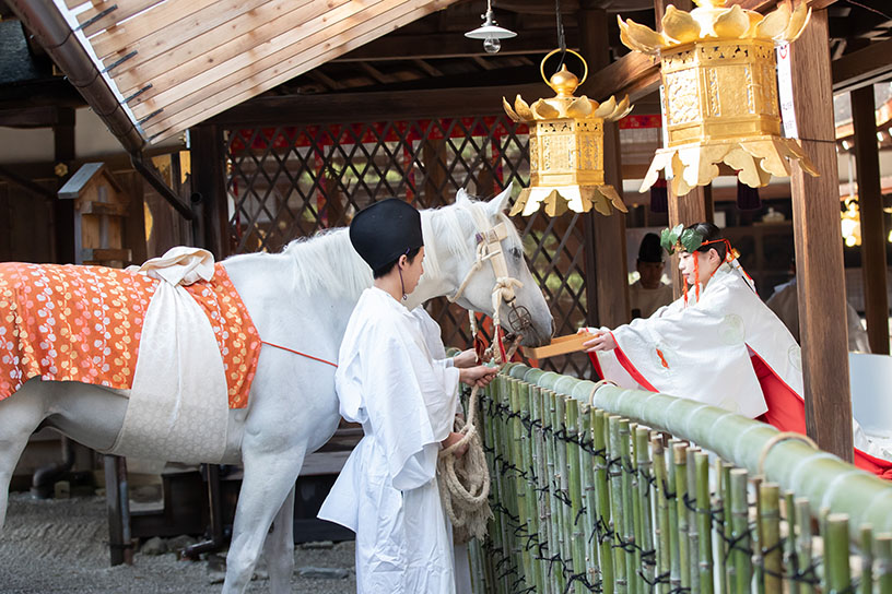 本殿でニンジン入りの特製大豆を食べます