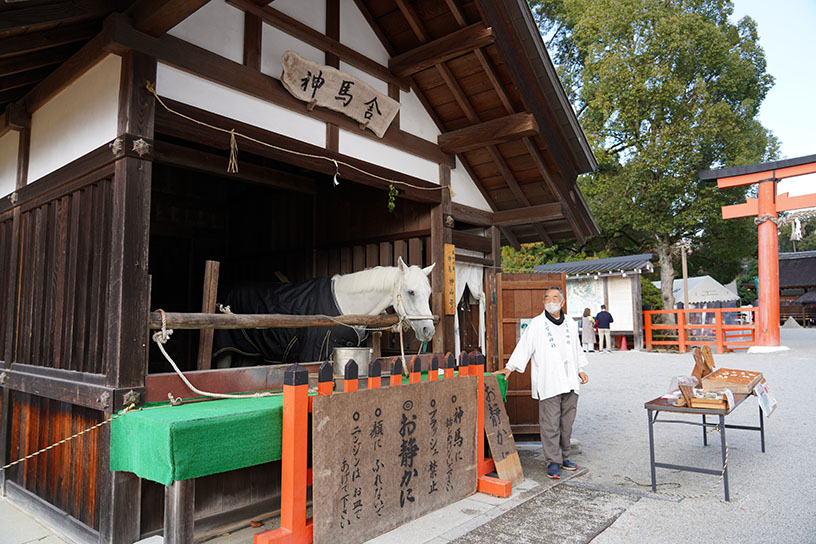 一年の幸せを願って♪ 上賀茂神社の神馬に会いに行こう｜そうだ 京都