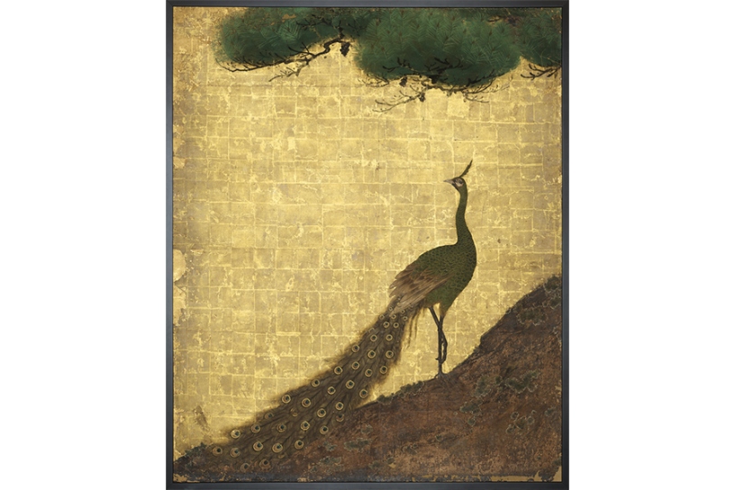 重要文化財 狩野探幽筆 二条城二の丸御殿障壁画〈大広間〉三の間 《松孔雀図》（部分） 寛永3年（1626）京都市（元離宮二条城事務所）<br/>
※夏期展示予定