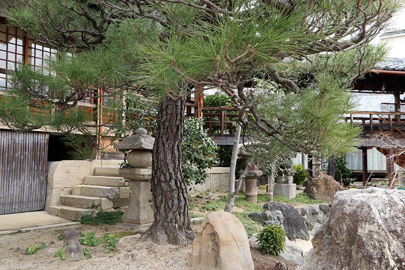 本堂前には2代目の松が植わり、伝承を物語っています