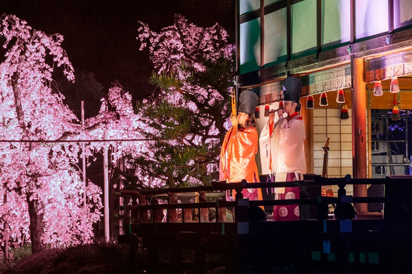 貴賓館のステージには、様々なアーティストが登場します