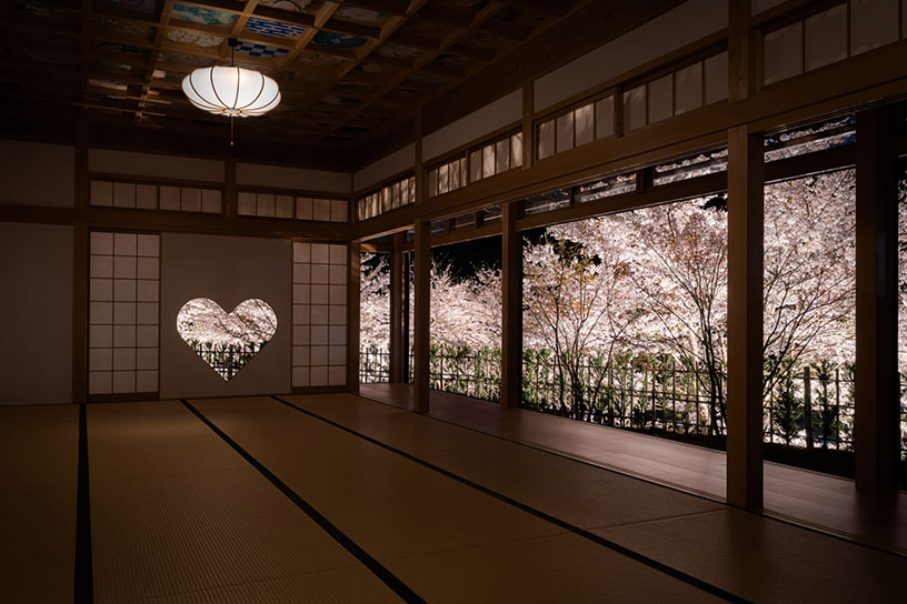 “ハート型”に象られた桜