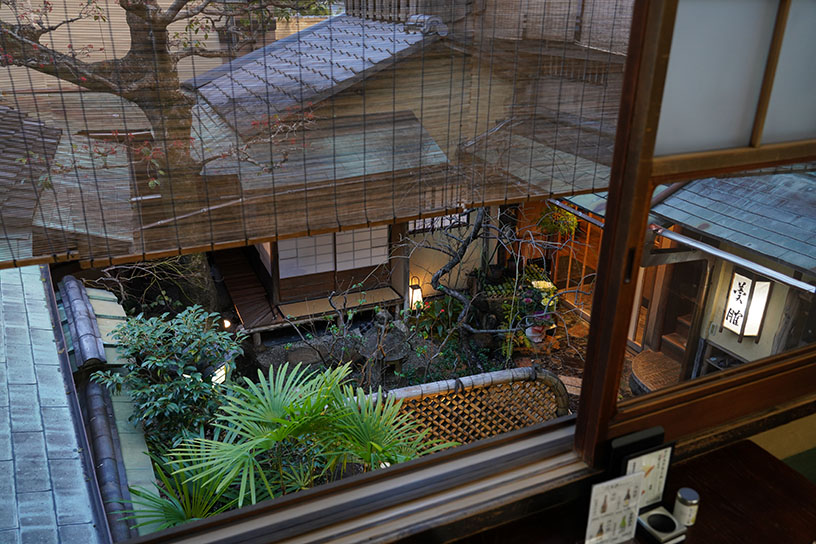 2階から中庭を望む