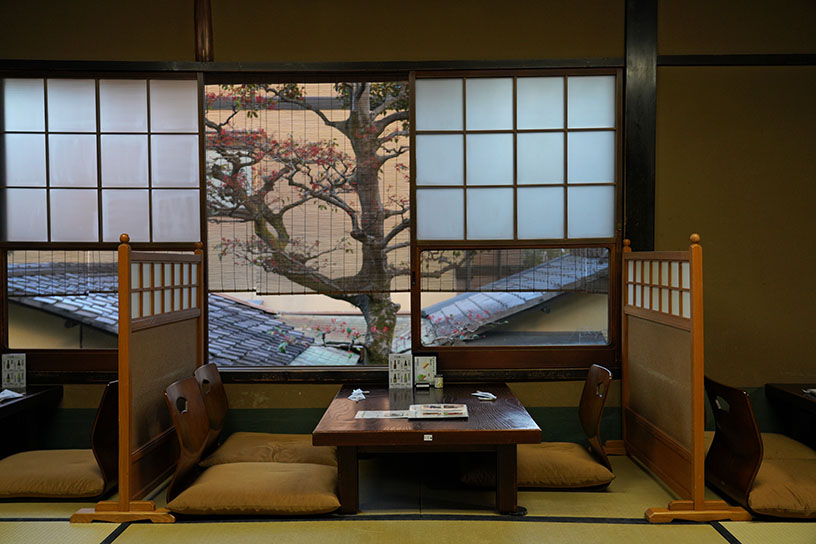 2階の窓から、赤い実を付けたクロガネモチの木が見えました