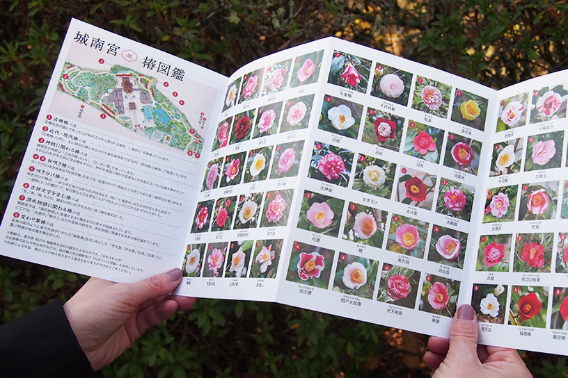 散策が楽しくなる神苑のパンフレット