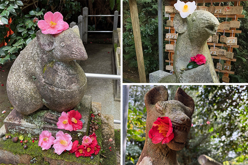 狛ねずみたちは椿でおめかし♪