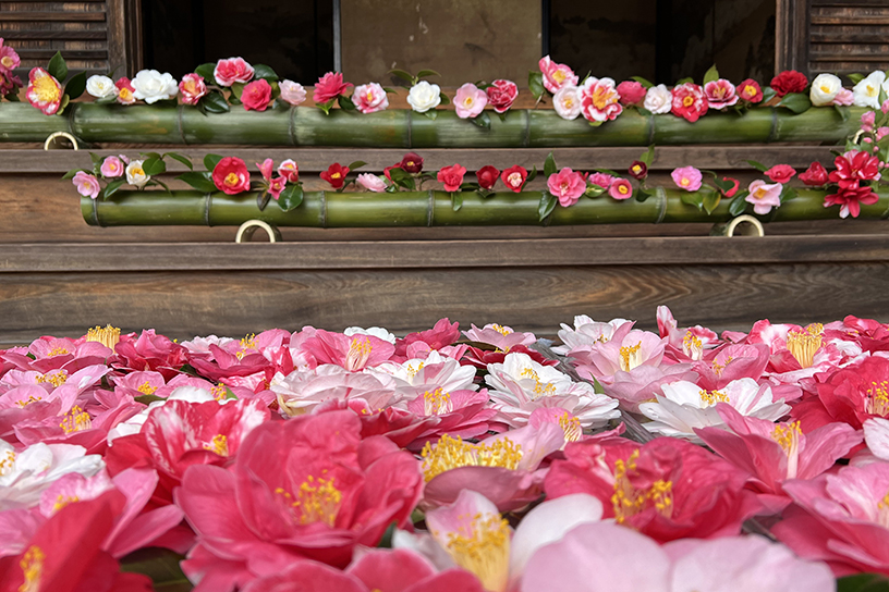 人気のフォトスポット