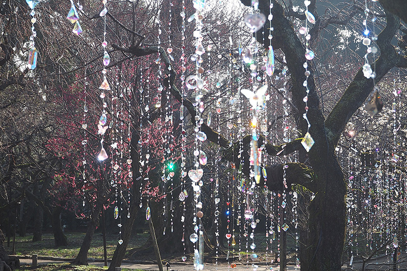 太陽の光が当たってキラキラ