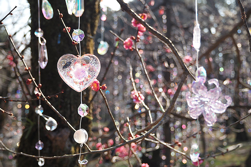 いろいろな形があるクリスタル