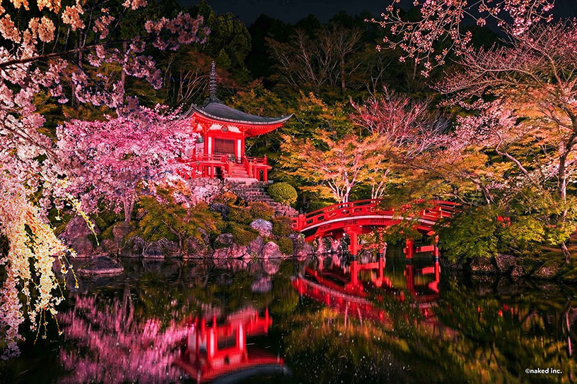 弁天池で行われる「煌めき桜吹雪」