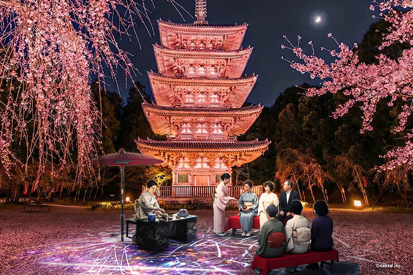 国宝「五重塔」 夜桜茶席(呈茶には別途料金が必要です)
