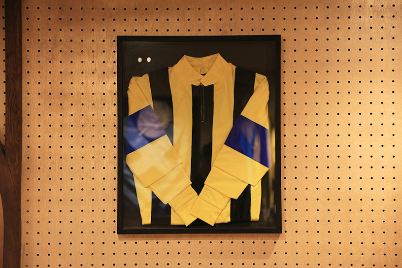 2005年の有馬記念、一番人気のディープインパクトを抑えて勝利した時の勝負服