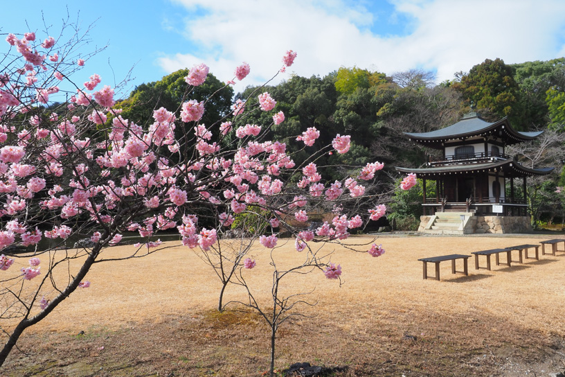 勧修寺（撮影日：2026年3月4日）