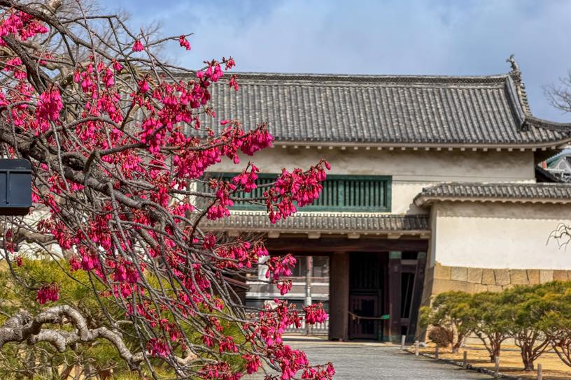 元離宮 二条城（撮影日：2026年3月4日）