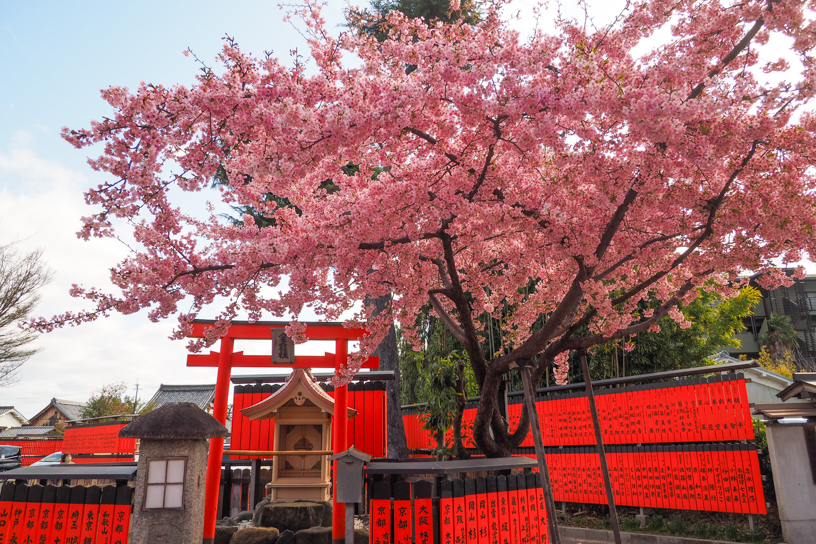 車折神社（撮影日：2026年3月5日）