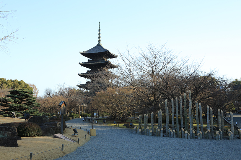 東寺（撮影日：2026年3月5日）