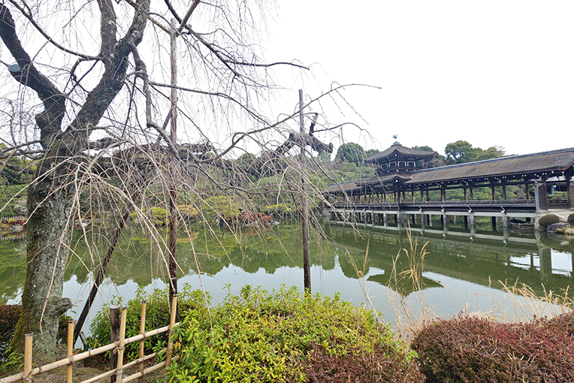 平安神宮（撮影日：2026年3月6日）