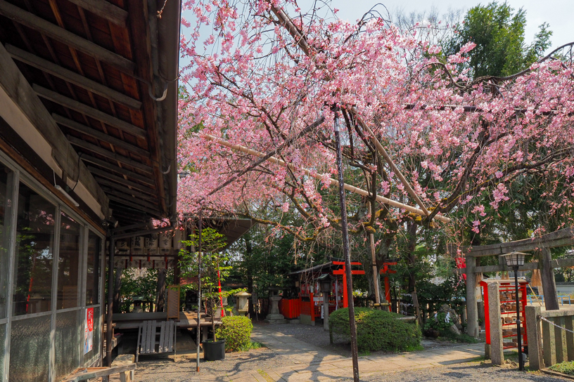 水火天満宮（撮影日：2025年3月27日）