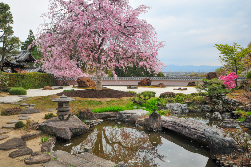 正法寺（撮影日：2025年4月10日）