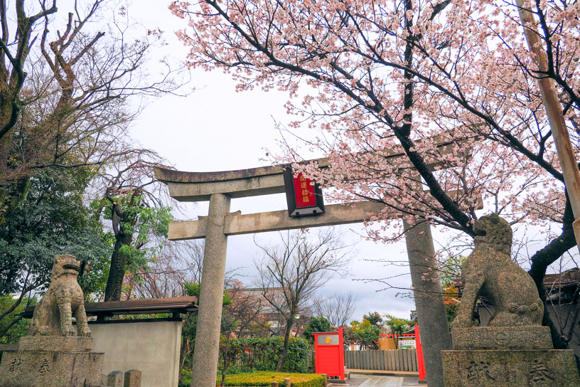 裏参道入口も華やか（撮影日：2026年3月19日）