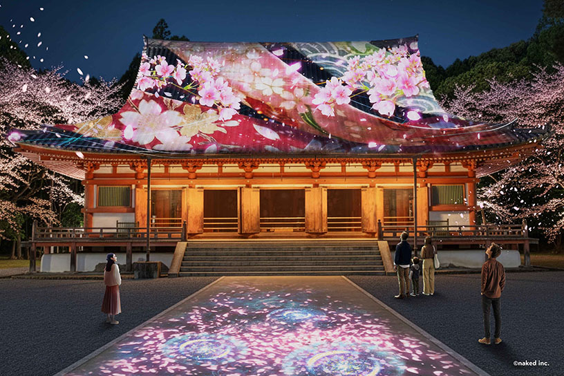 国宝「金堂」桜絵巻