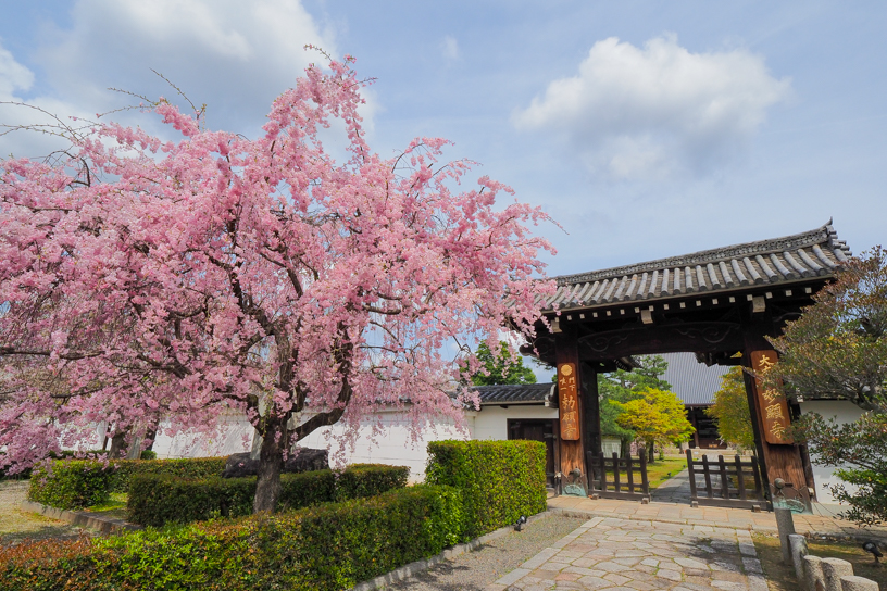 山門
