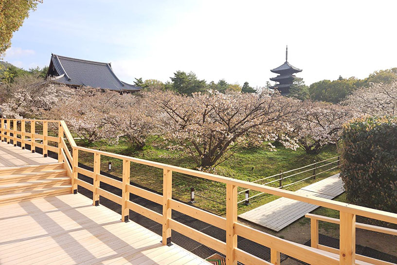 新設された観賞用デッキ（撮影日：2026年4月6日）