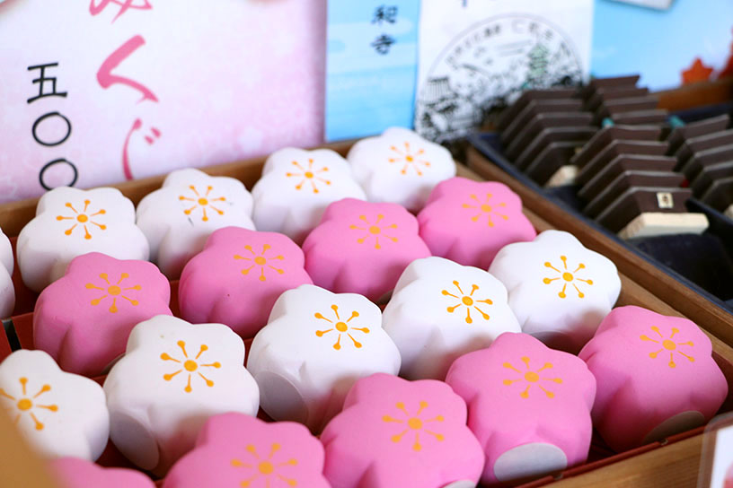 桜おみくじ 各500円