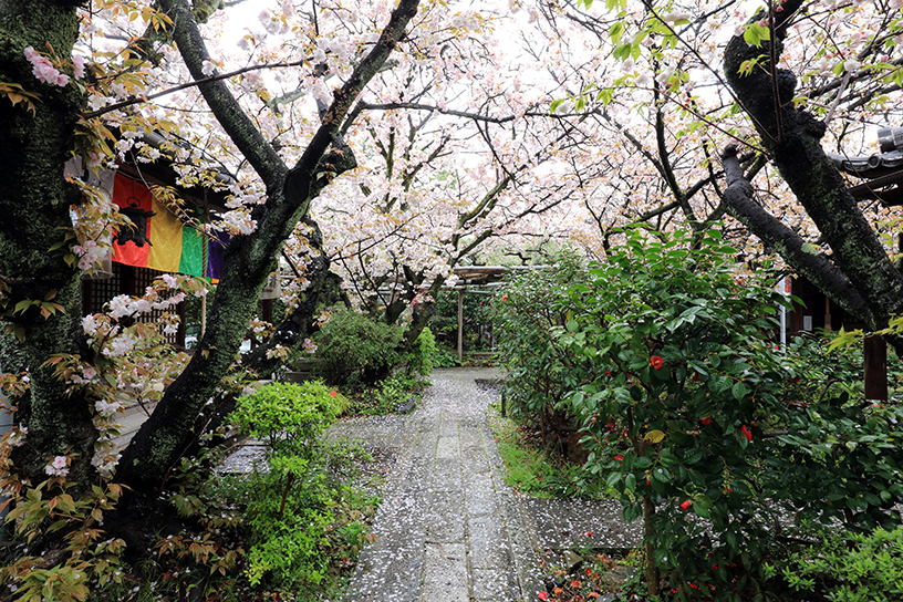 雨宝院（撮影日：2026年4月10日）
