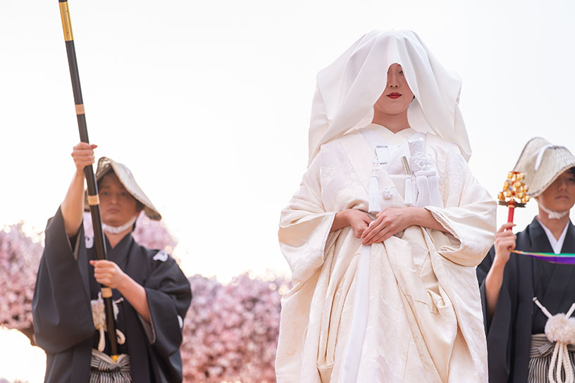 花嫁道中 桜の宴