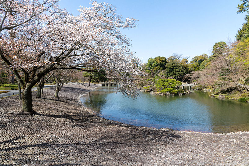 洲浜 春の風景(所蔵:宮内庁京都事務所)