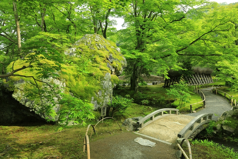 苔生した巨大な獅子岩